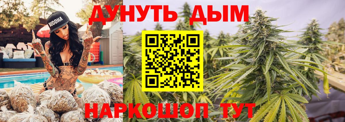 Канабис план Отрадный
